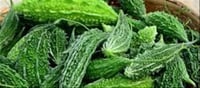 🧪 Bitter Gourd Breakthrough? Is Karela Linked to Kidney Stone Prevention?